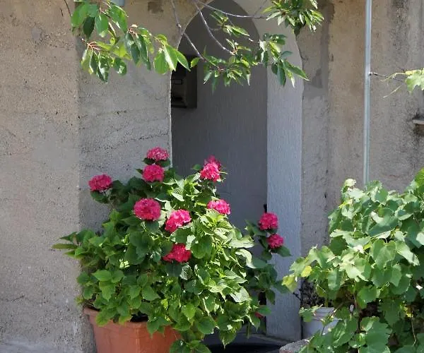 With Parking Space - 5600 アパート *